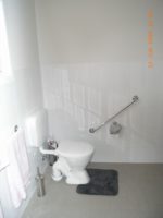 Modified Toilet wit grab rails